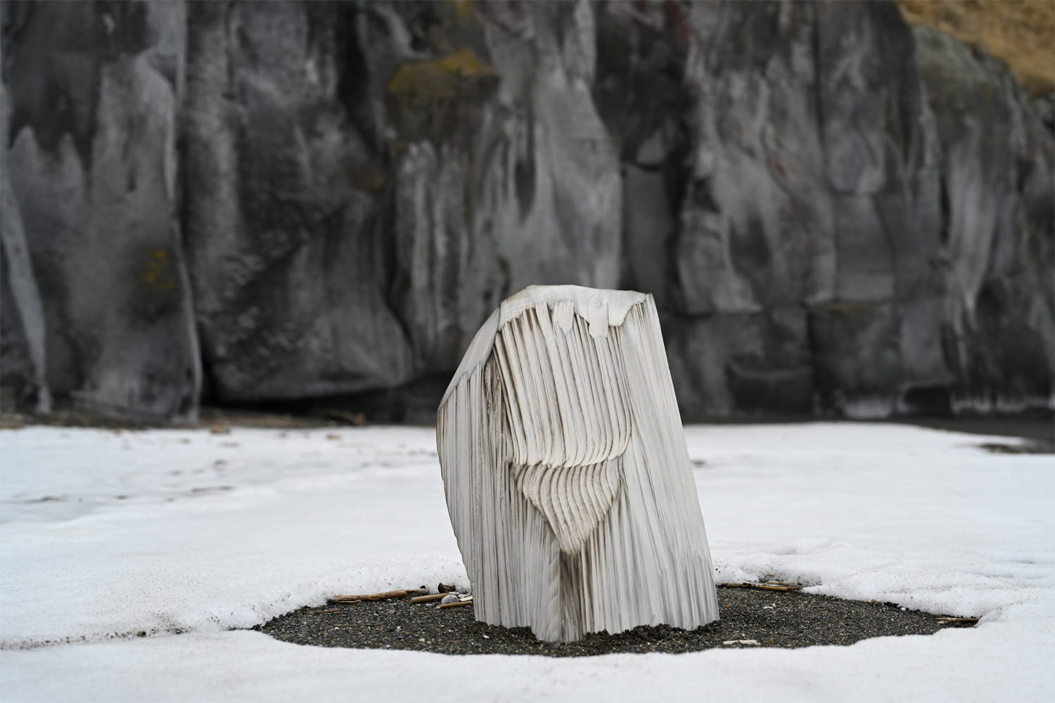 002-sideb-41_kineta-kunimatsu