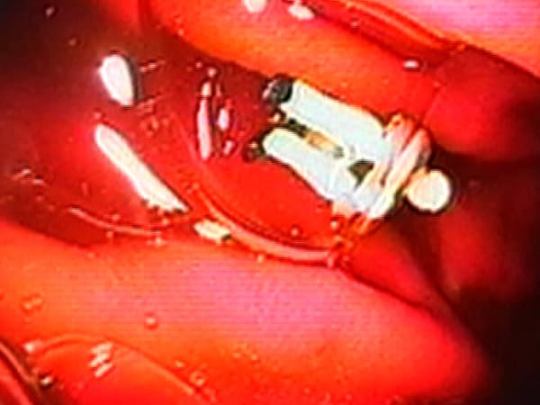 004a_myfaivarit_movies2025